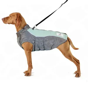 Anniepaw Winter Waterproof Snowproof Windbreaker Harness Dog Coats