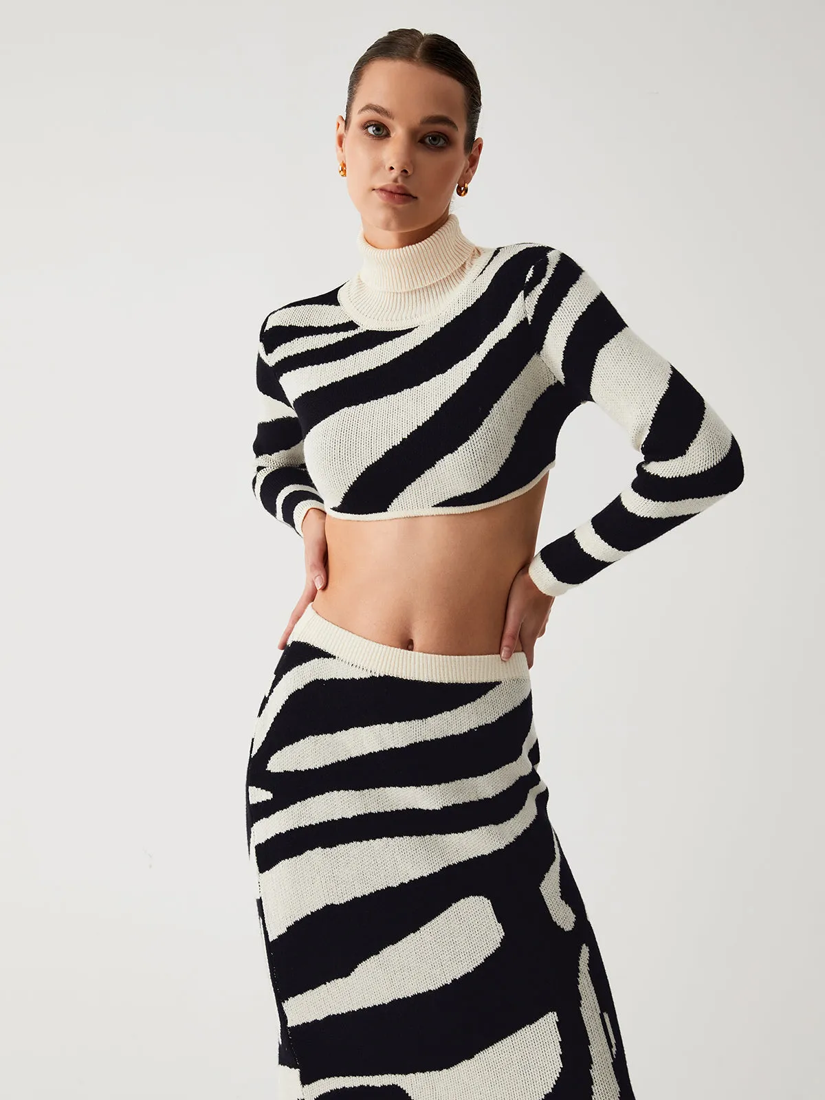 Zebra Print Mock Neck Crop Classic Top Two Piece Skirt Set